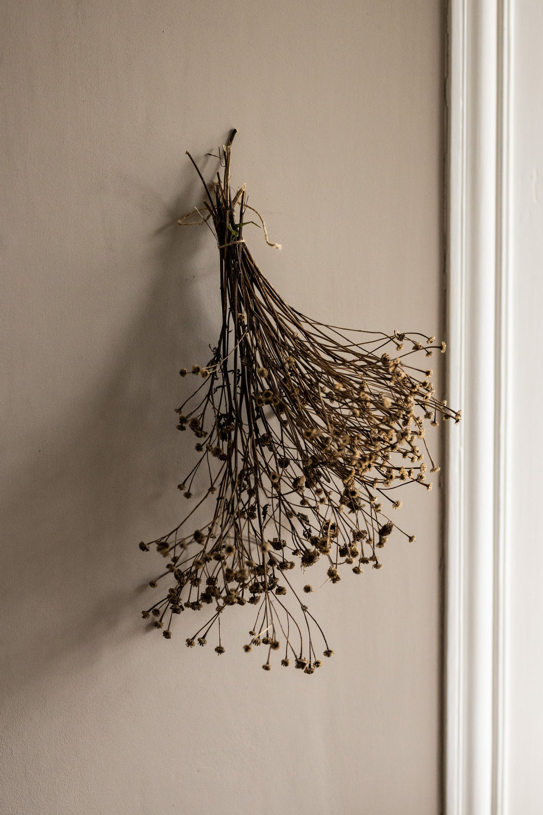 SCENT STORY | Smokey Oak