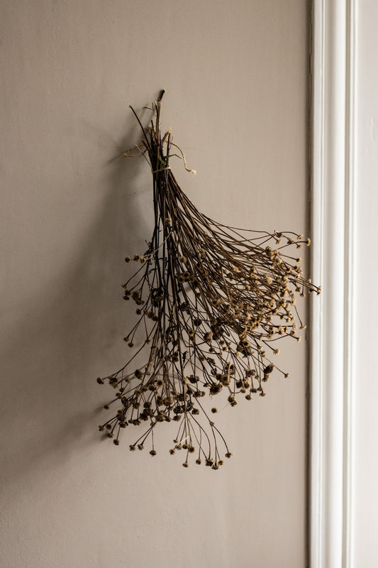 SCENT STORY | Smokey Oak