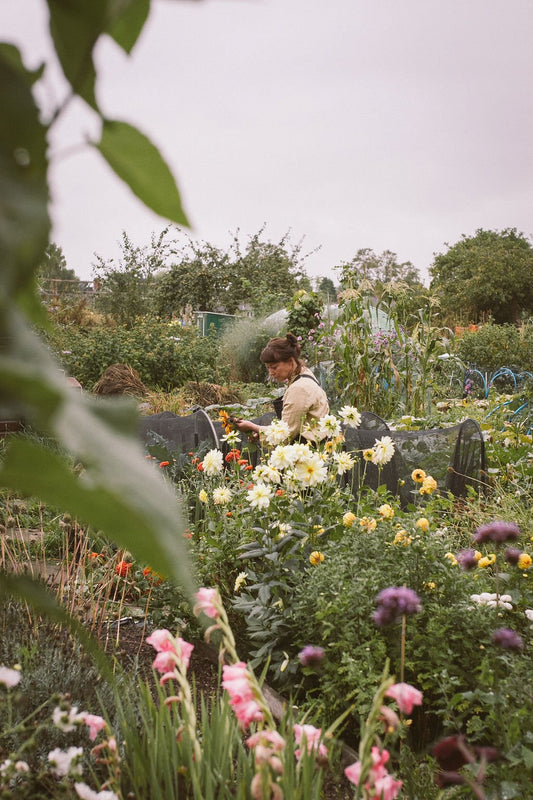 Embracing the Summer Solstice