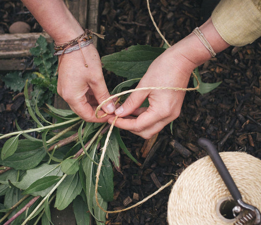 Let's Harvest | Herbs and flower seeds