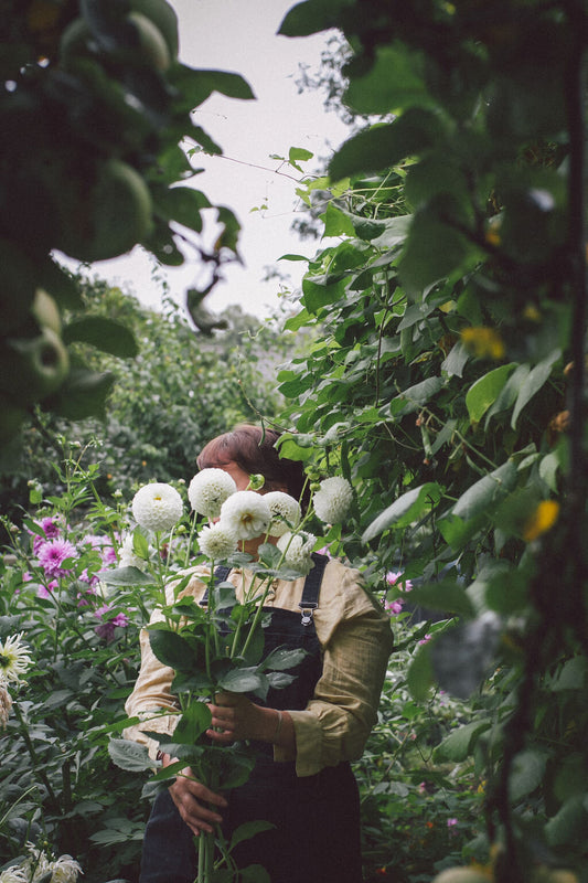 Harvest Season