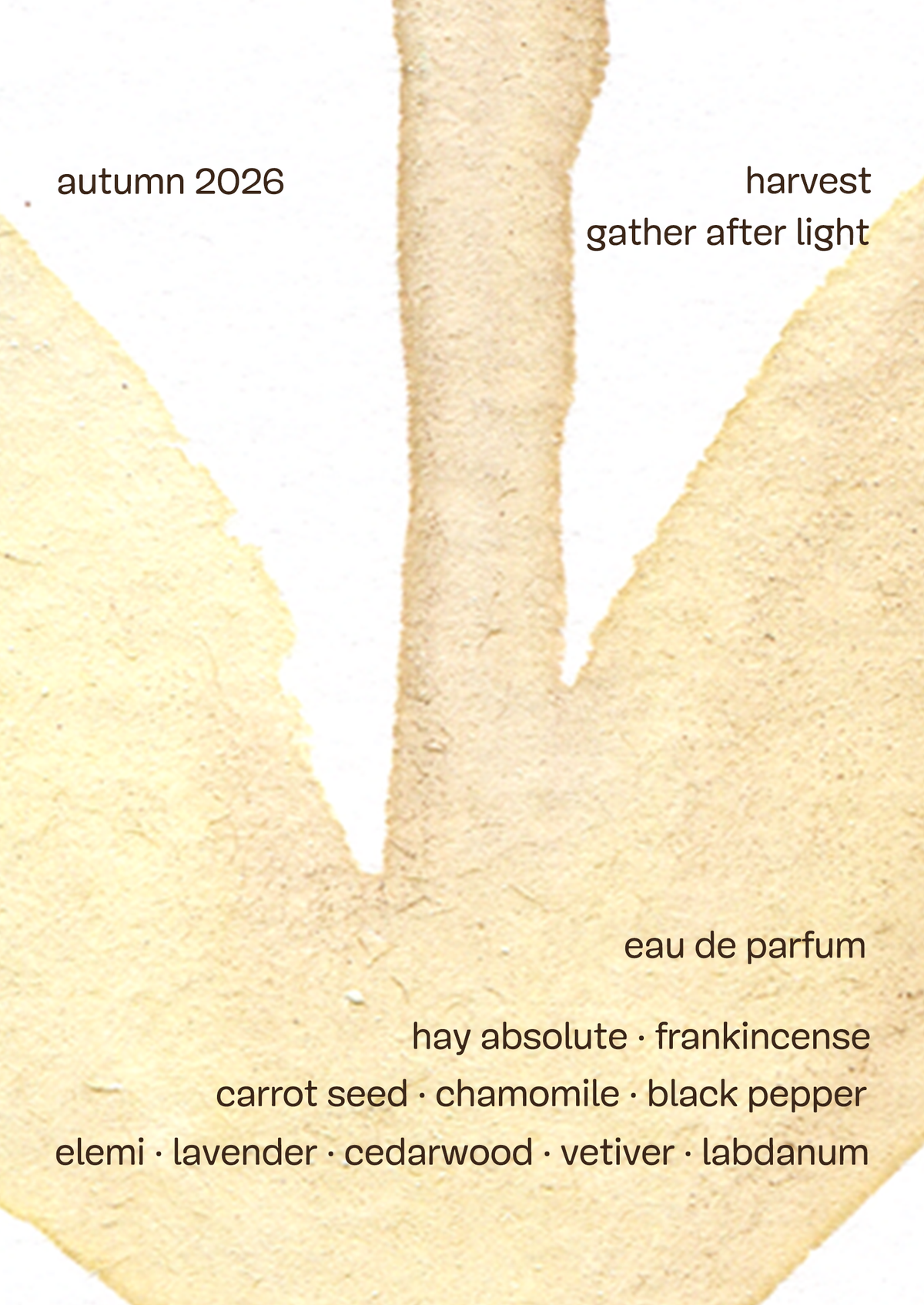 gather after light - eau de parfum 2ml sample