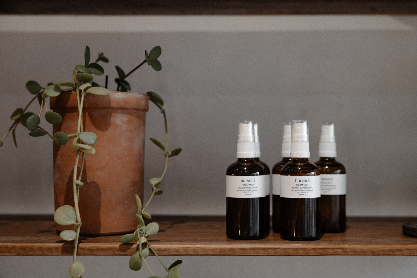 Black Cardamom Room Mist