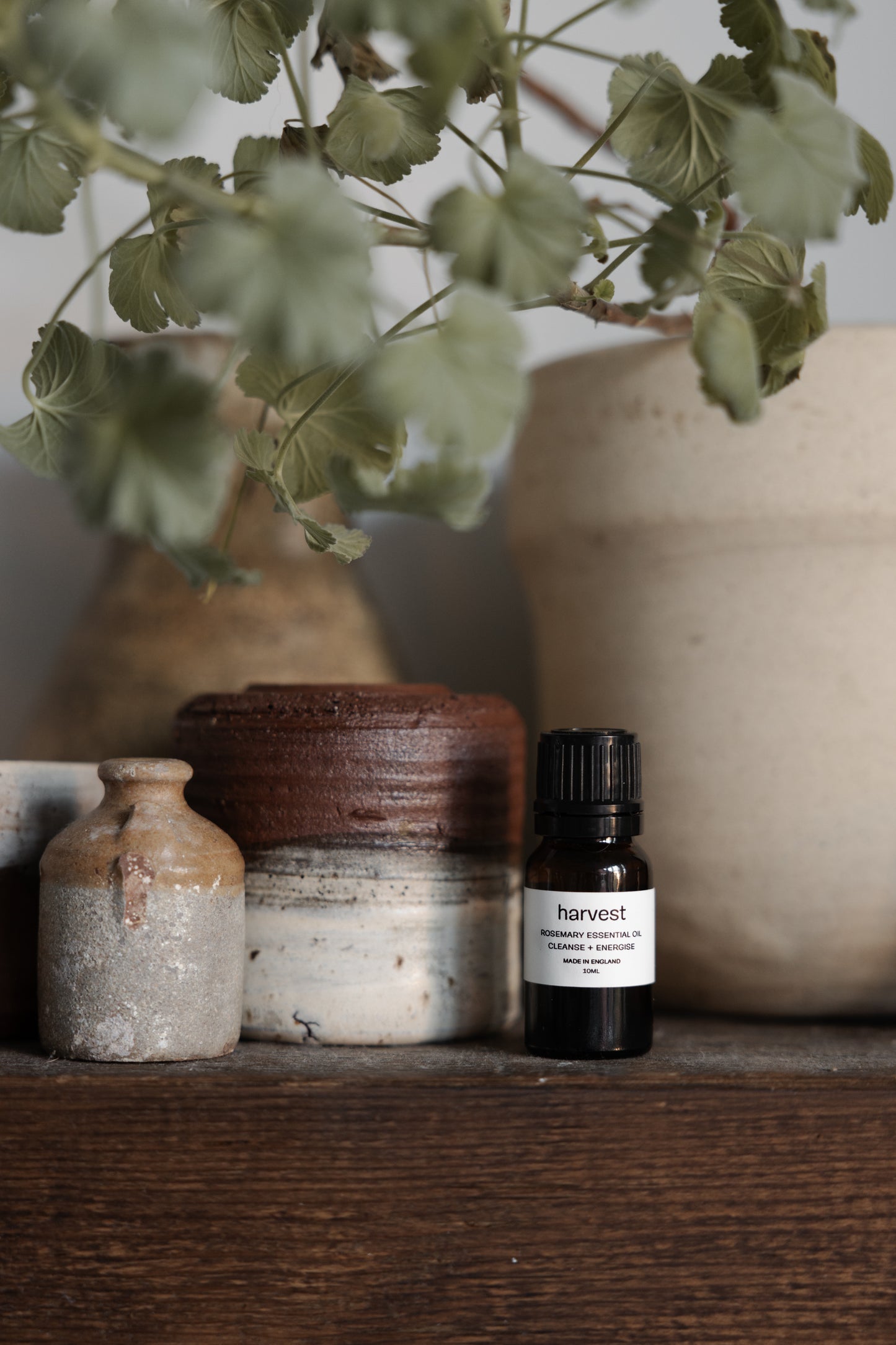 Rosemary Essential Oil