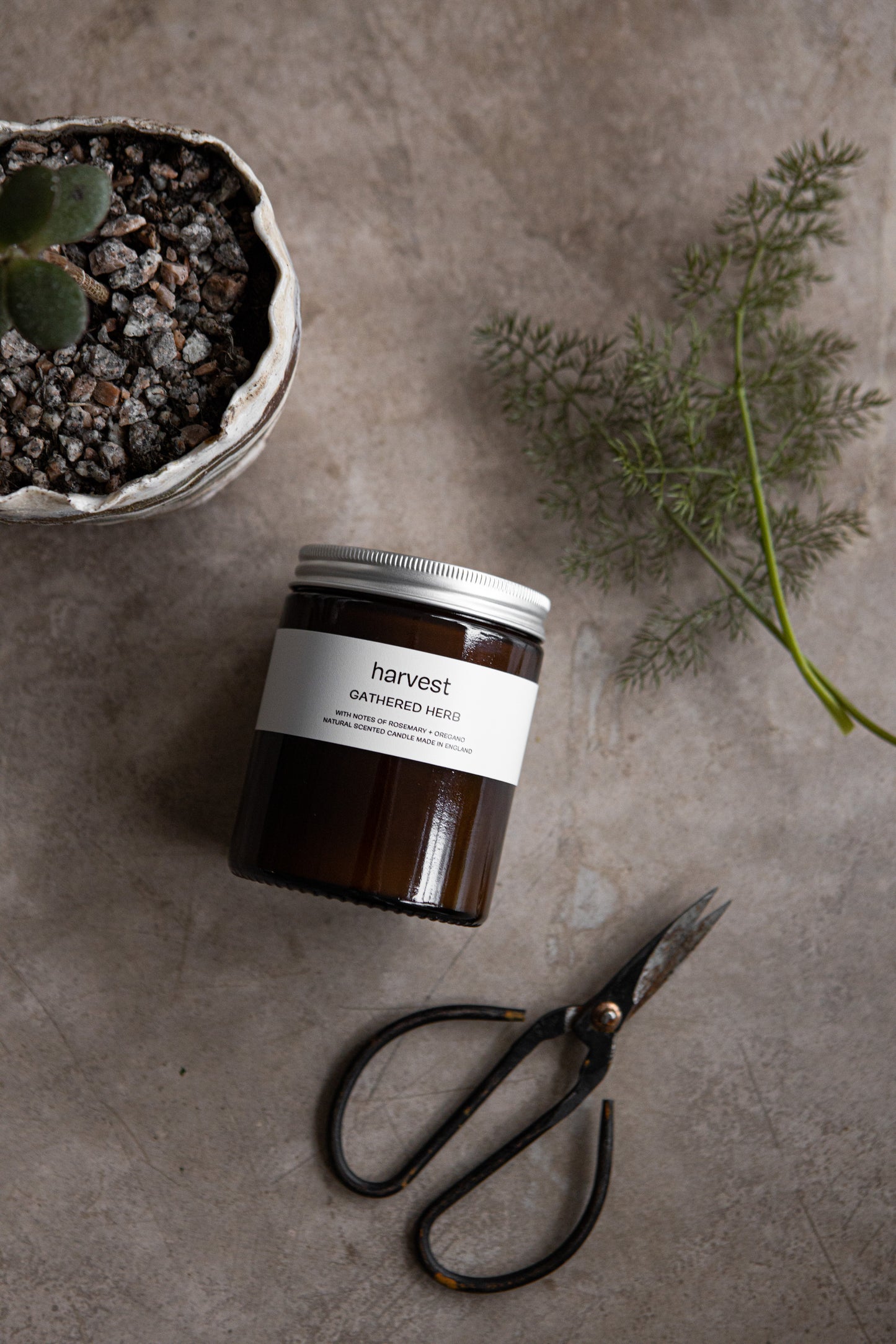 Gathered Herb Candle