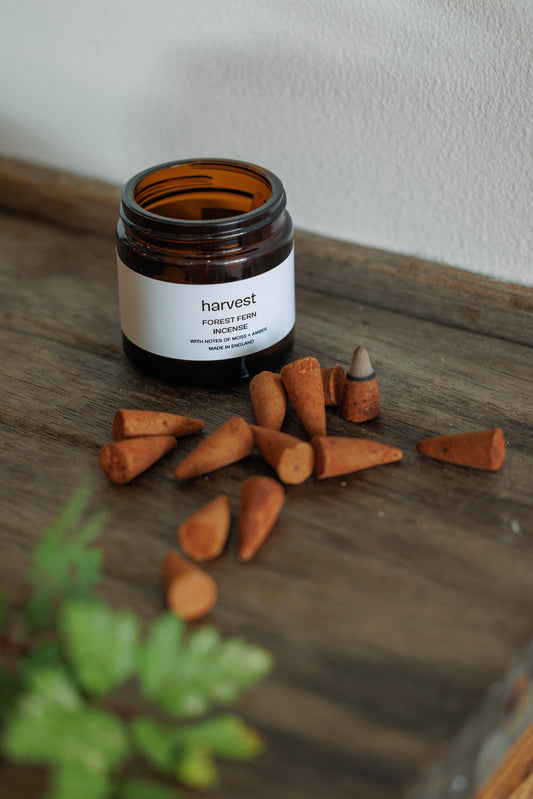 Forest Fern Incense Cones