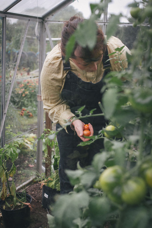 Grandad's Greenhouse