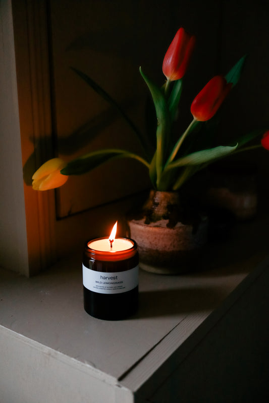 Wild Lemongrass Candle