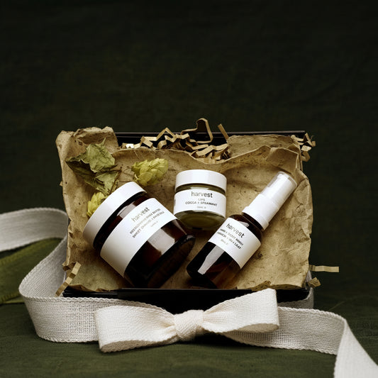 Renew Gift Set