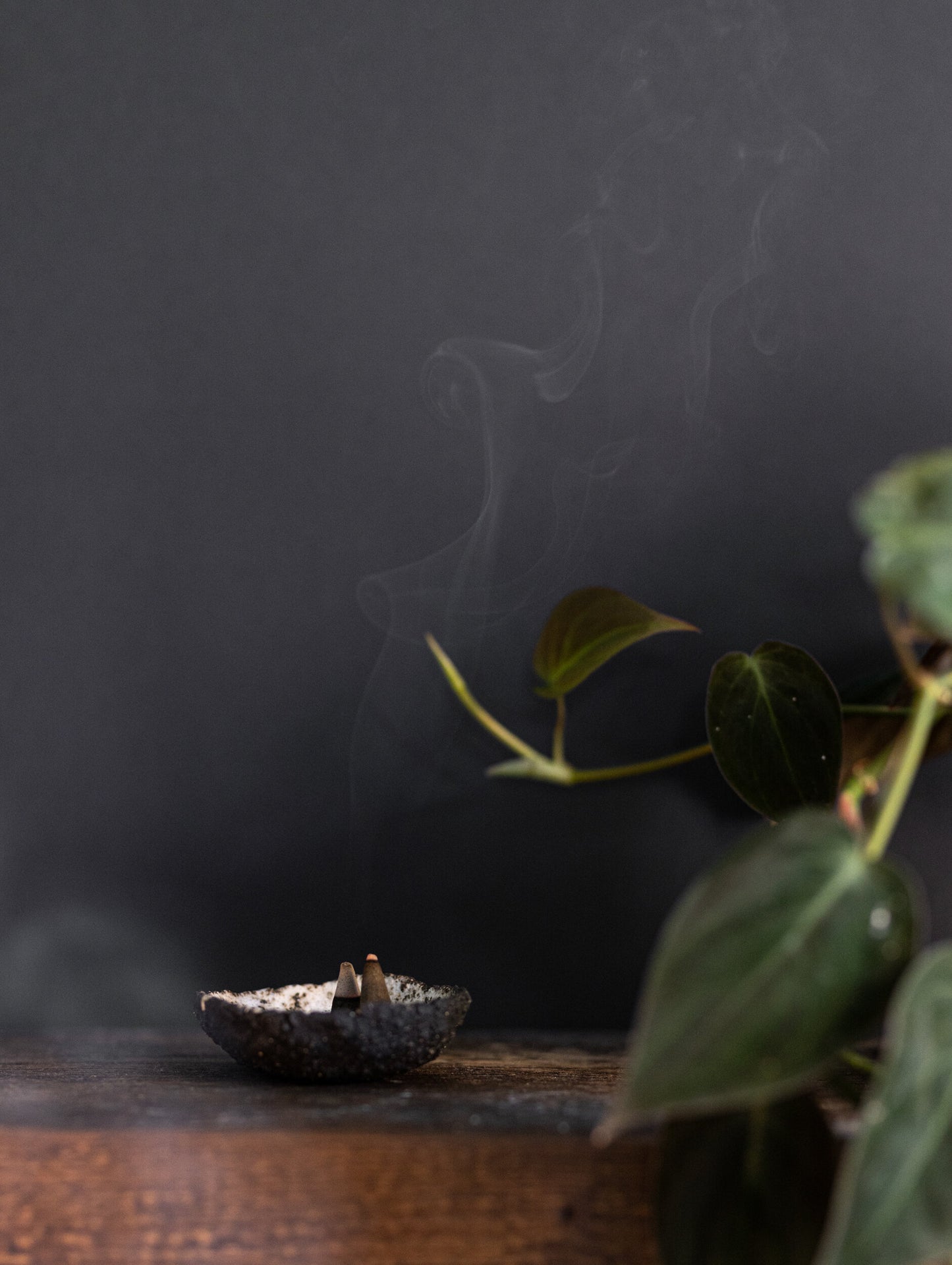 Set of Incense Cones + Burning Dish