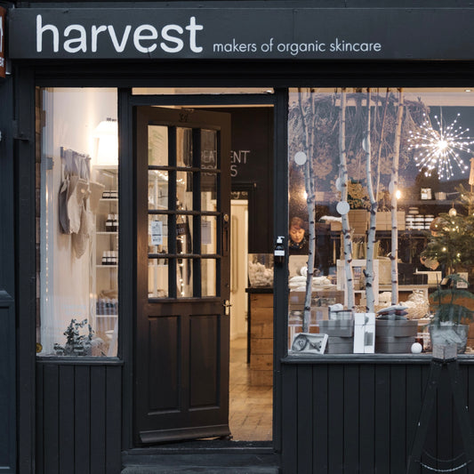 A Christmas at Harvest