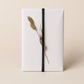 Father's Day Seasonal Treatment Subscription