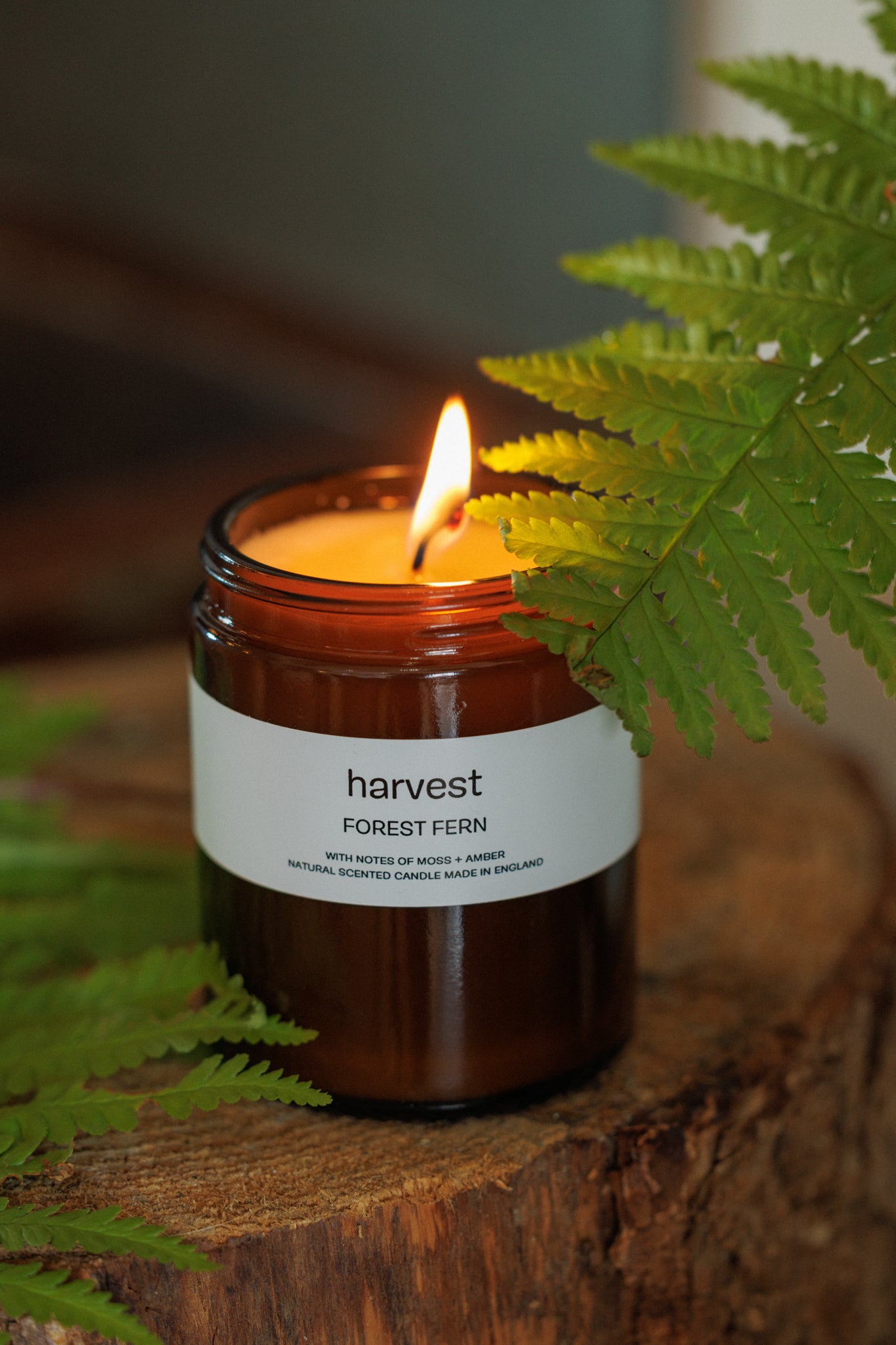Forest Fern Candle