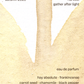 gather after light - eau de parfum 2ml sample