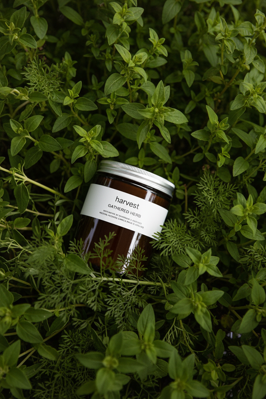Gathered Herb Candle