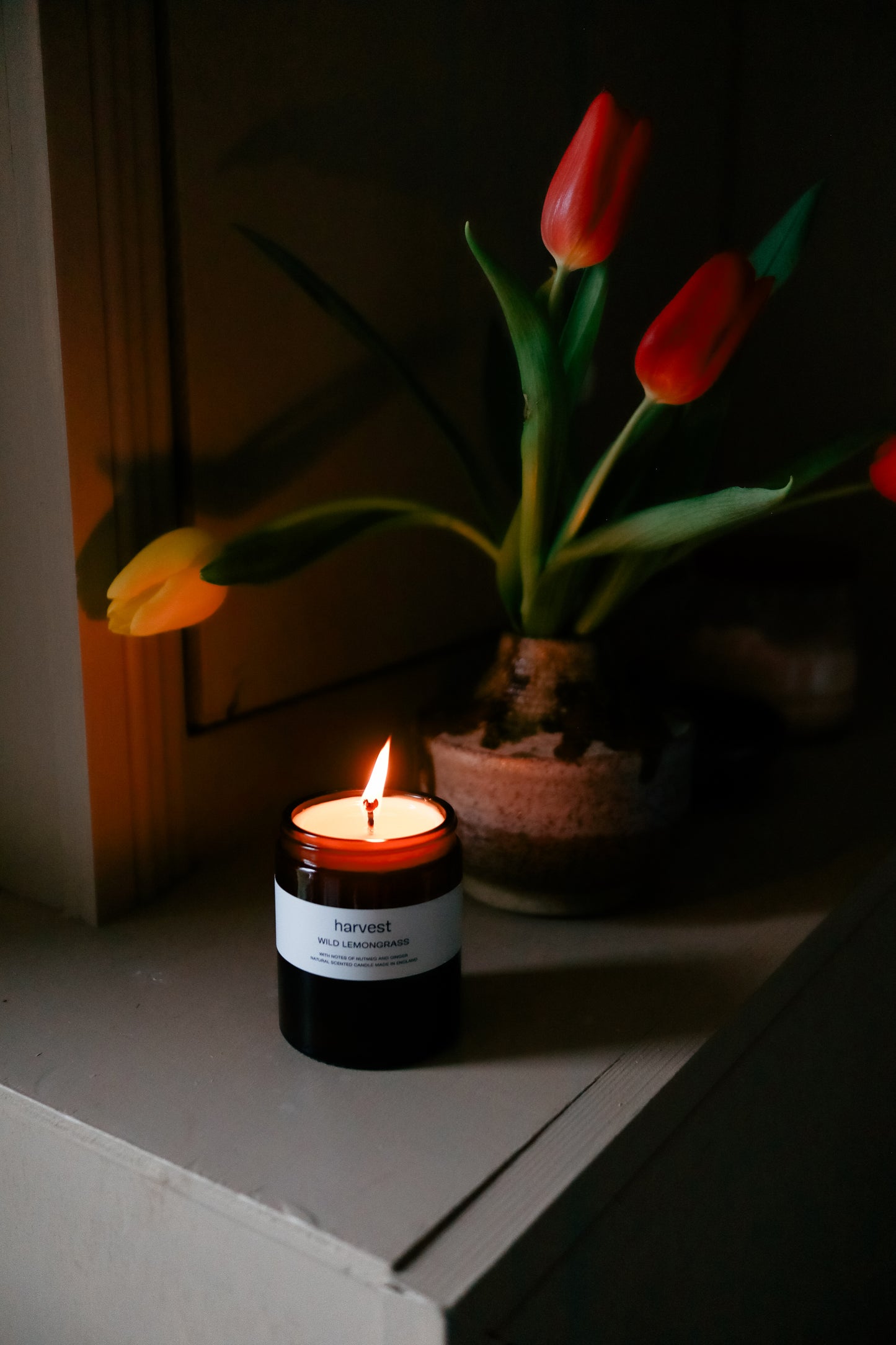 Wild Lemongrass Candle