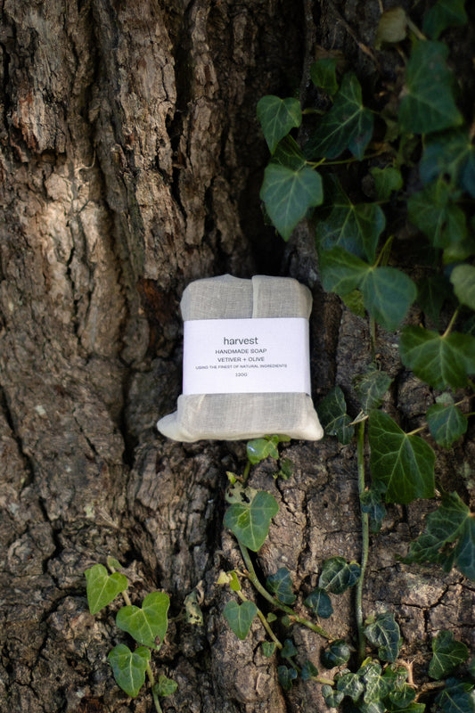 Vetiver + Olive Soap