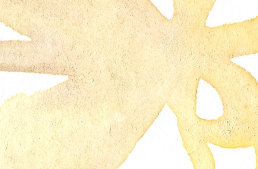 gather after light - Friday 9th October