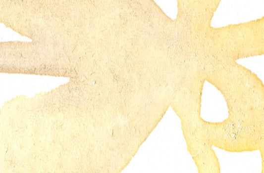gather after light - Friday 9th October
