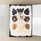 gather after light - eau de parfum