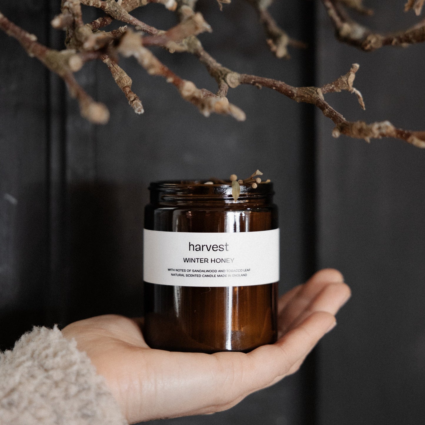 Winter Honey Candle