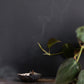 Set of Incense Cones + Burning Dish