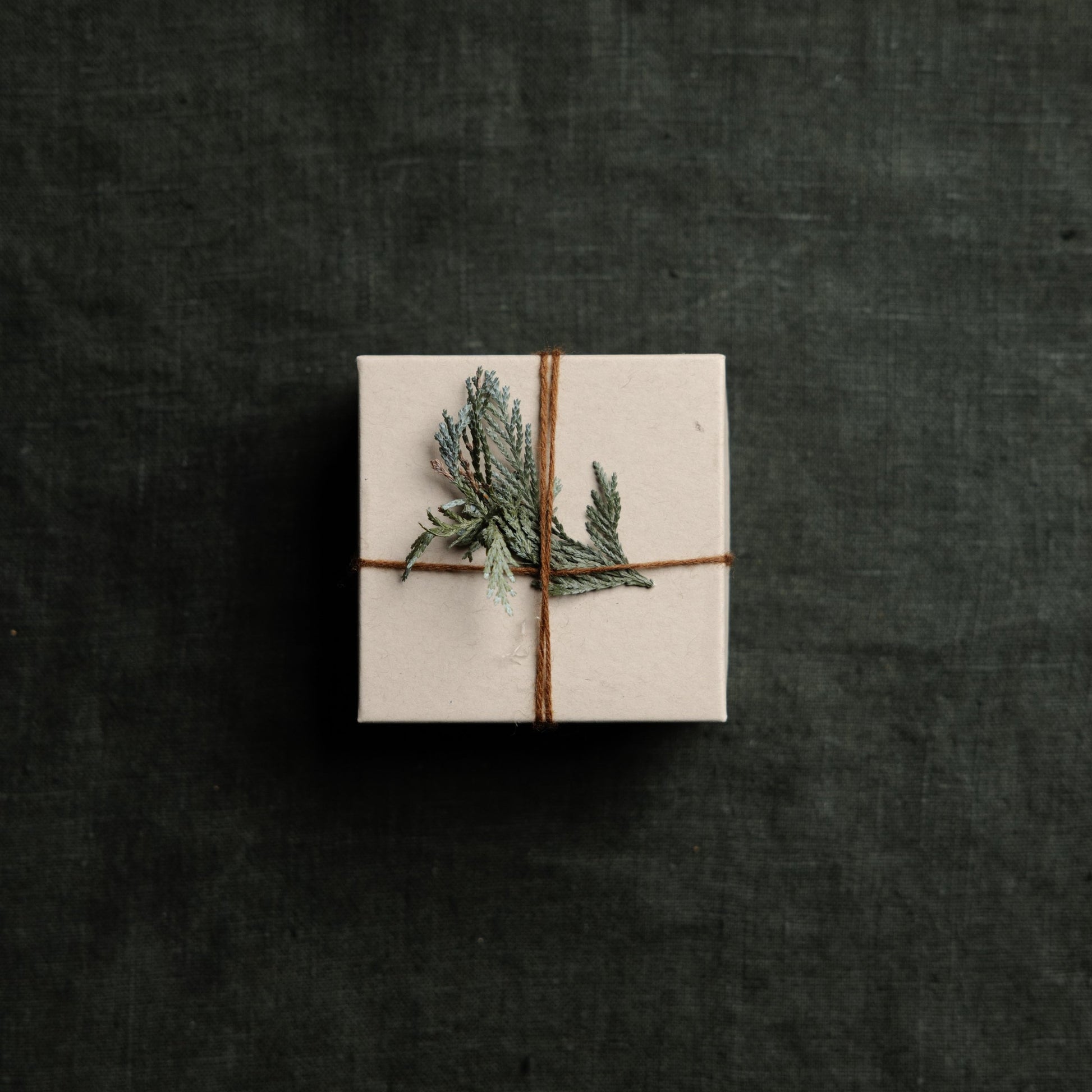 Cedar + Pine Gift Set