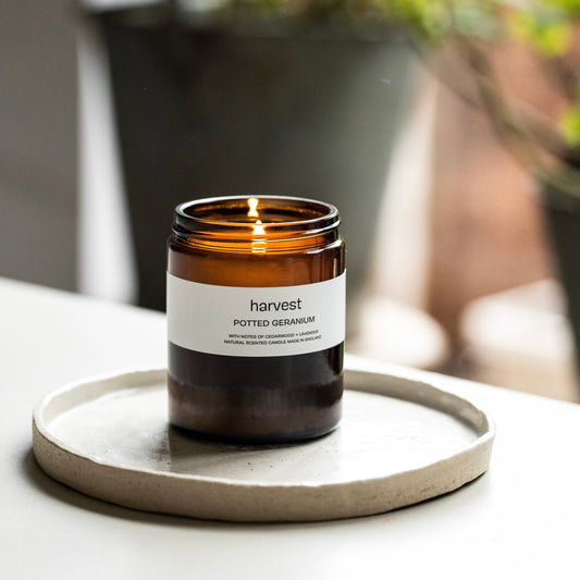 Potted Geranium Candle